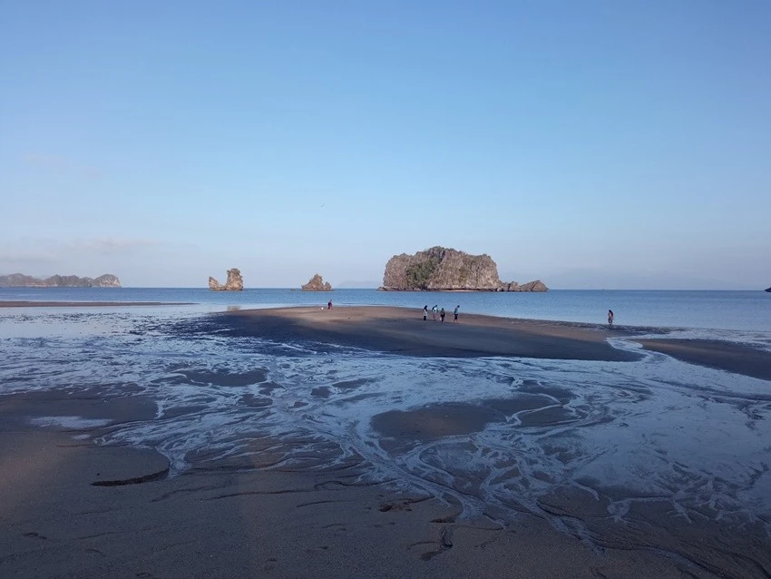 IMG_20230311_082802.jpg?type=w1600