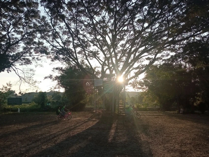 IMG_20221222_170920.jpg?type=w1600