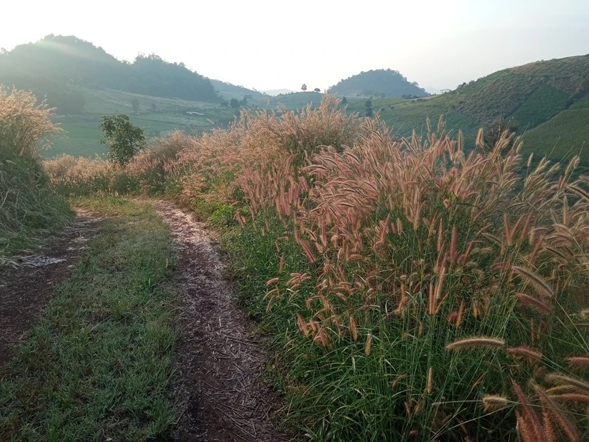 IMG_20221215_072823.jpg?type=w1600