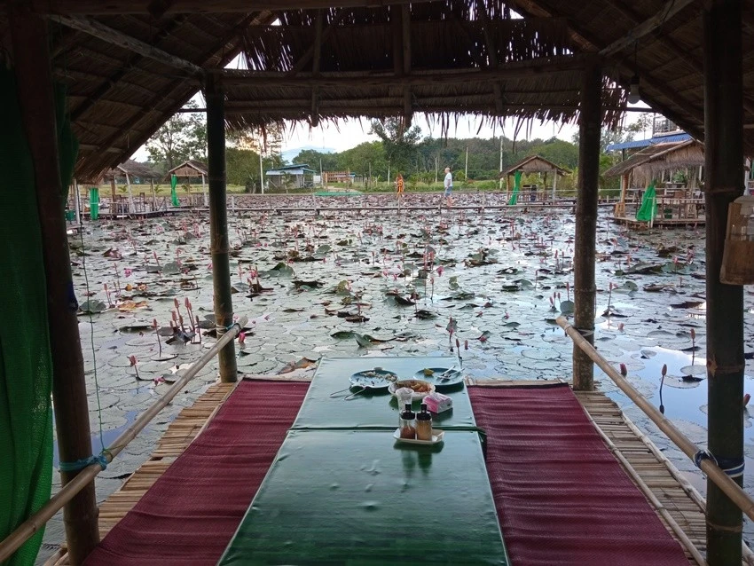 IMG_20221128_164425.jpg?type=w1600