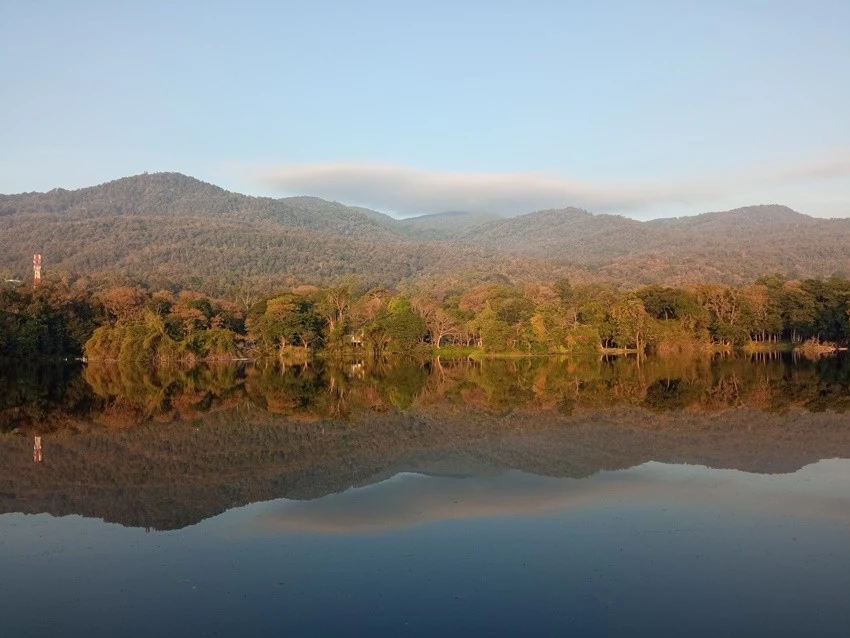 IMG_20230105_074155.jpg?type=w1600