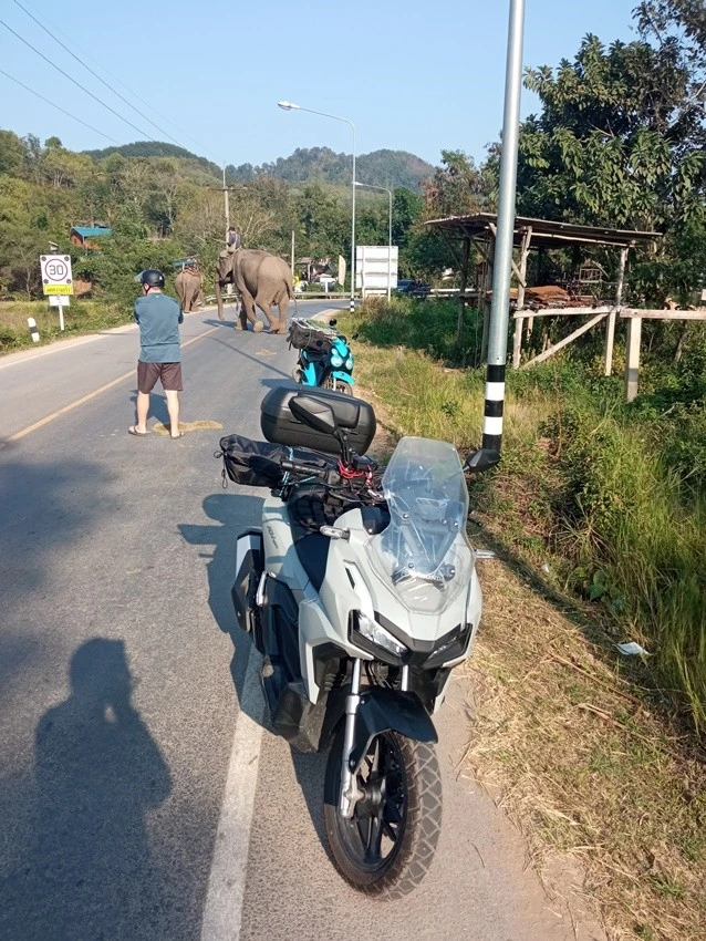 IMG_20221221_153523.jpg?type=w1600