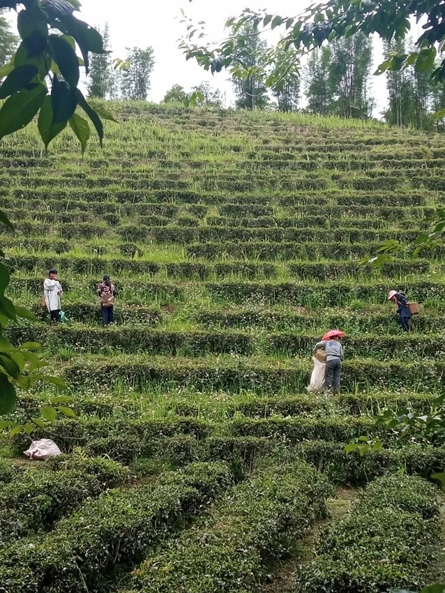 IMG_20220511_143349.jpg?type=w1600