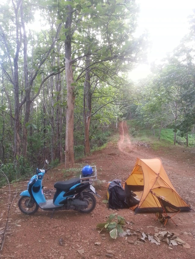 20200630_062136.jpg?type=w773