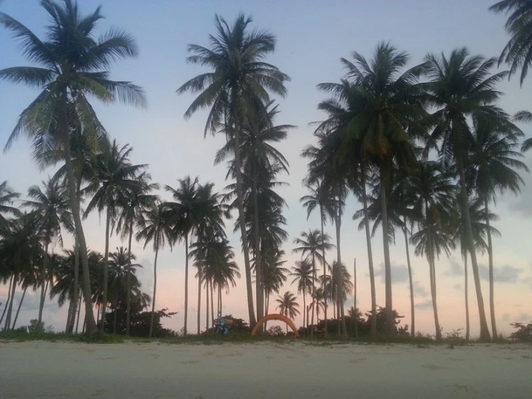 20200823_061425.jpg?type=w773