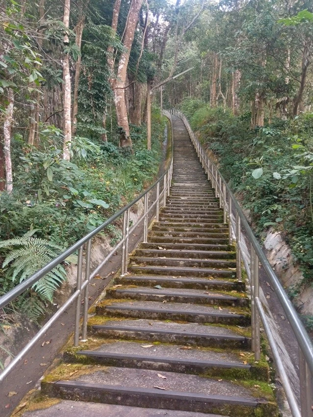 IMG_20221224_132142.jpg?type=w1600