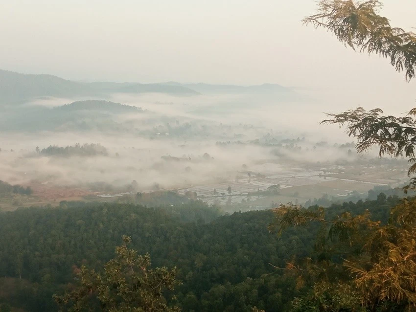 IMG_20221226_072912.jpg?type=w1600