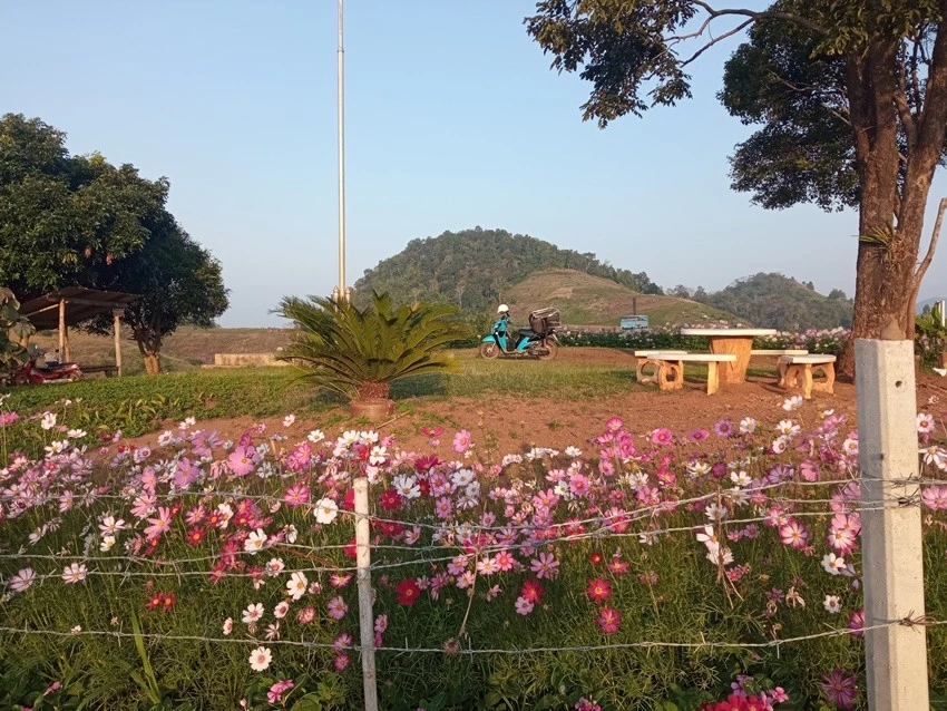 IMG_20221215_074251.jpg?type=w1600