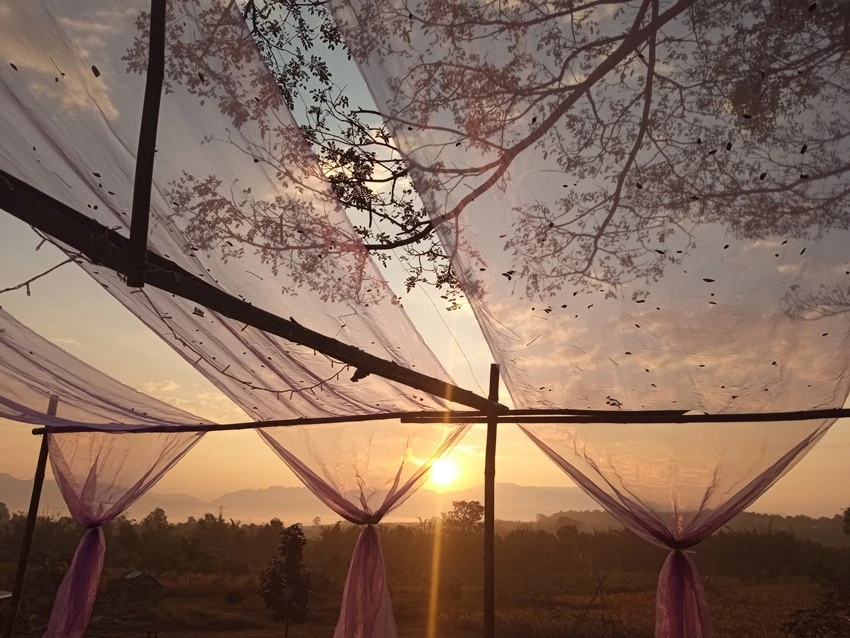 IMG_20230111_072244.jpg?type=w1600