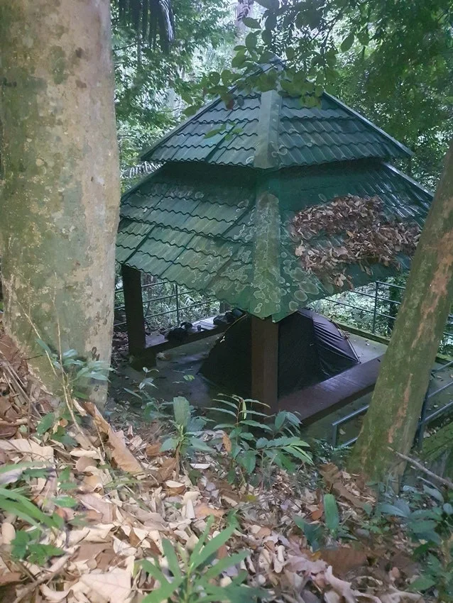 20250725_071751.jpg?type=w1600