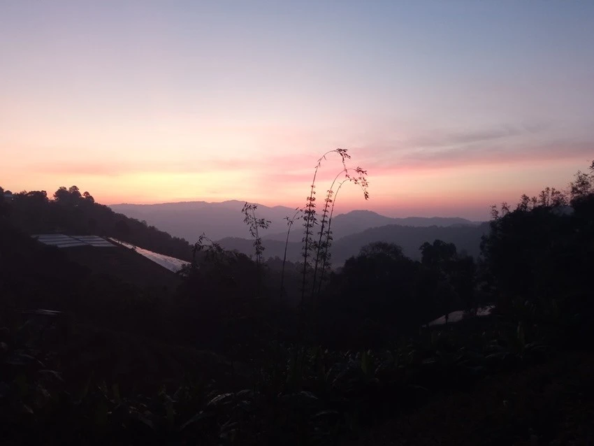 IMG_20221216_063303.jpg?type=w1600