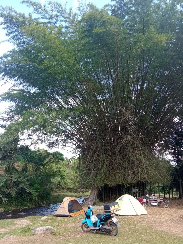 IMG_20230101_144530.jpg?type=w1600