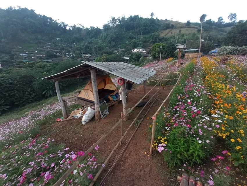 IMG_20221215_065129.jpg?type=w1600