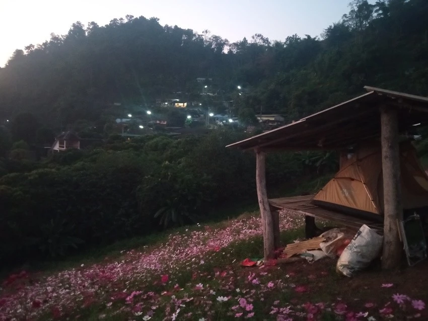 IMG_20221215_062915.jpg?type=w1600