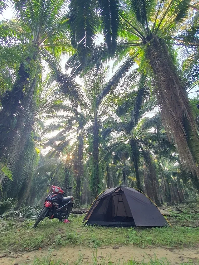 20250707_081910.jpg?type=w1600