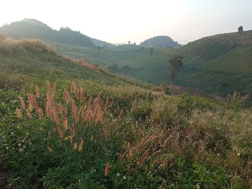 IMG_20221215_072734.jpg?type=w1600