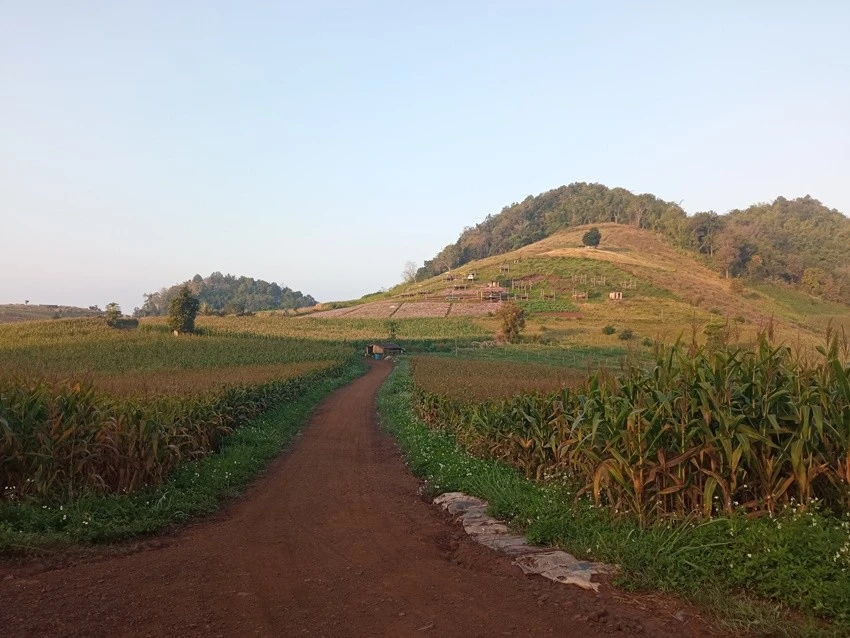 IMG_20221215_073455.jpg?type=w1600