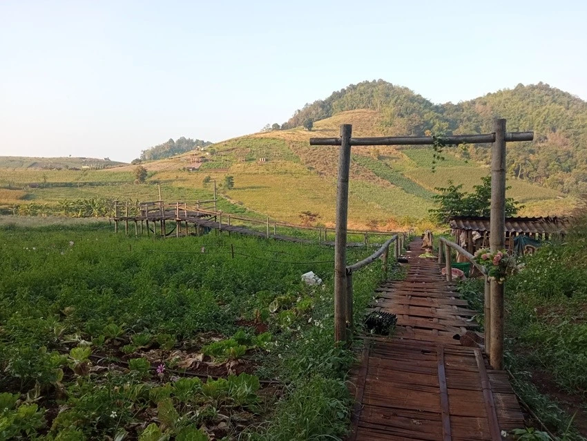 IMG_20221215_080301.jpg?type=w1600