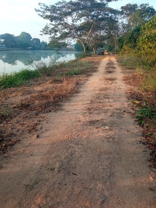 IMG_20221222_073103.jpg?type=w1600