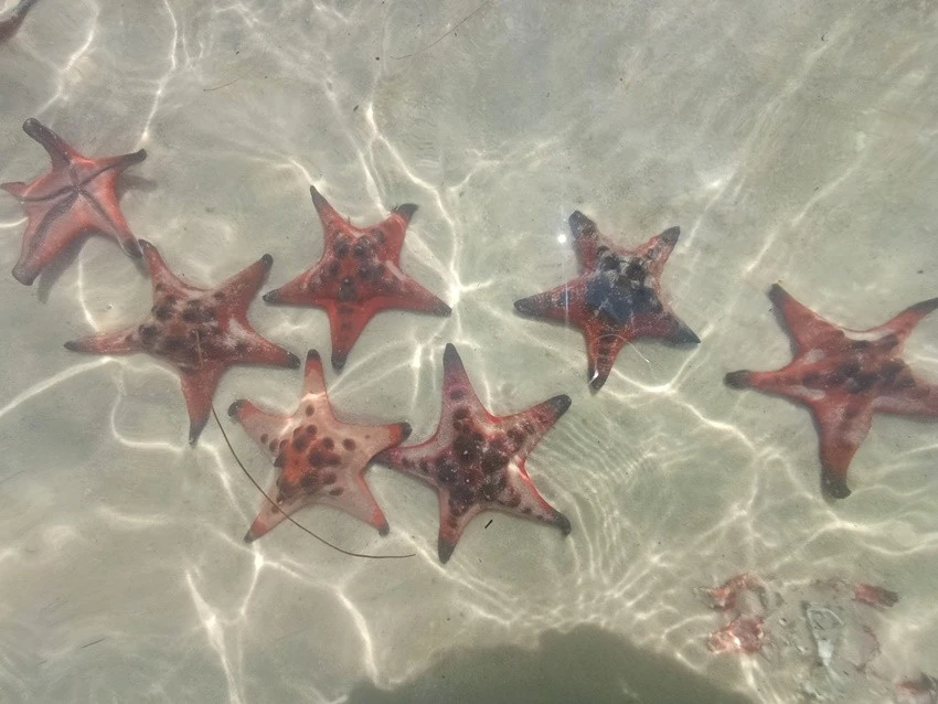 IMG_20230217_105500.jpg?type=w1600