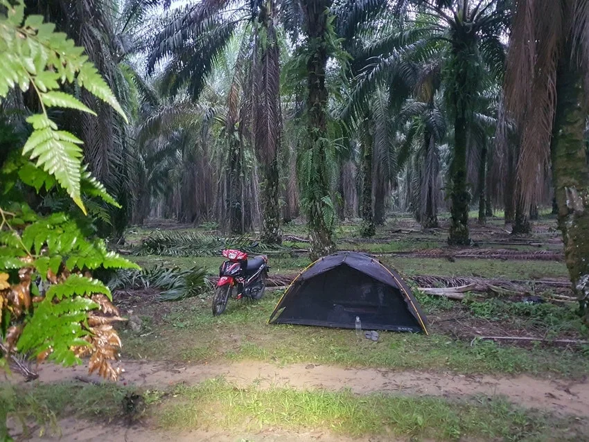 20250706_190919.jpg?type=w1600