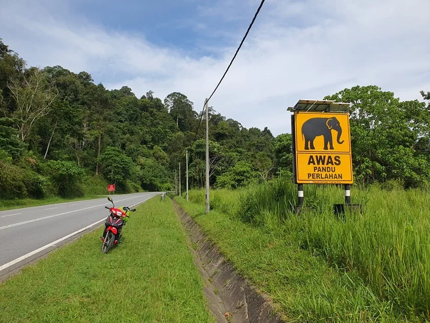 20250624_161522.jpg?type=w1600