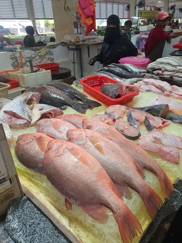 20250725_090027.jpg?type=w1600