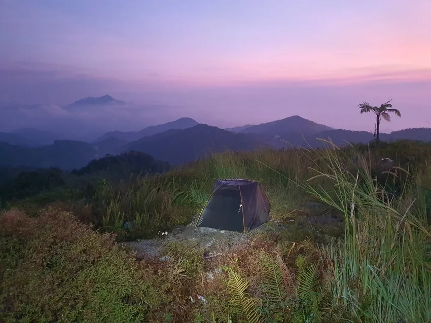 20250808_064955.jpg?type=w1600