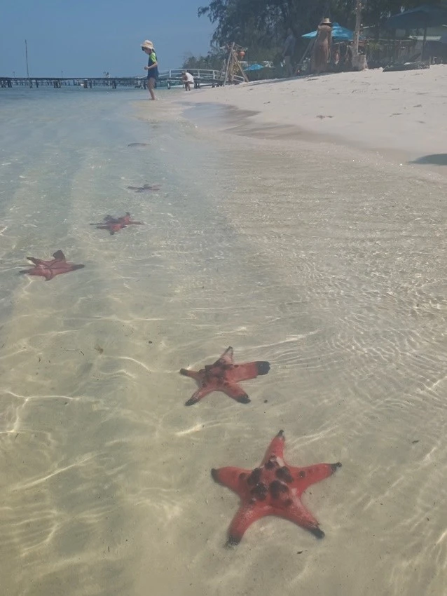 IMG_20230217_105200.jpg?type=w1600