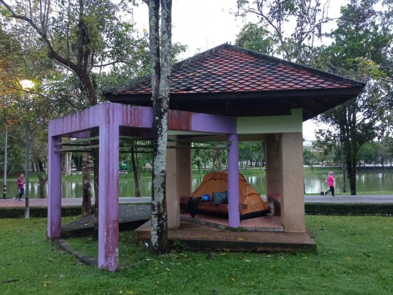 IMG_20201118_062412.jpg?type=w773