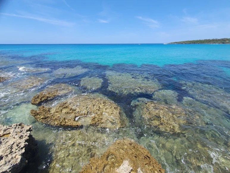 20240511_110136.jpg?type=w773