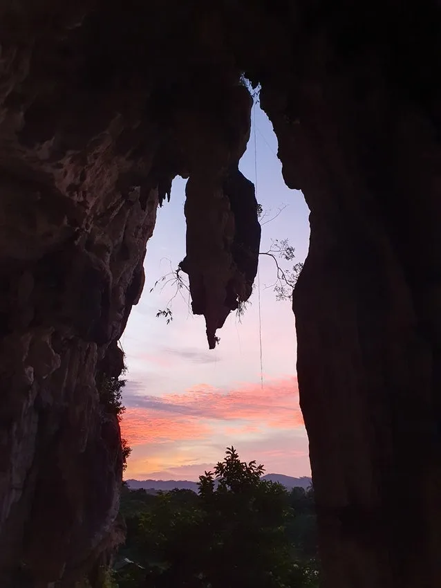 20250623_065348.jpg?type=w1600