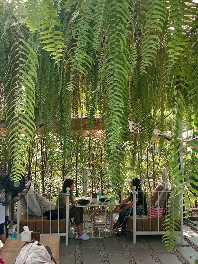 IMG_20221214_131342.jpg?type=w1600