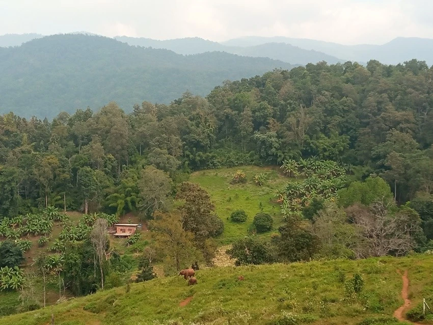 IMG_20221215_135548.jpg?type=w1600