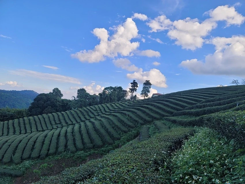 KakaoTalk_20221224_114139049_07.jpg?type=w1600