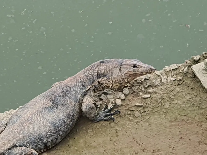 20250729_132525.jpg?type=w1600