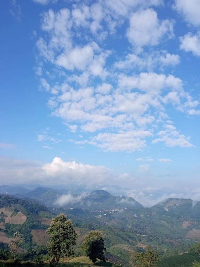 IMG_20221207_085137.jpg?type=w1600