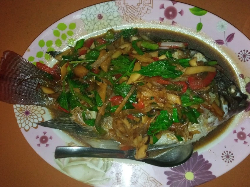 IMG_20221204_193248.jpg?type=w1600