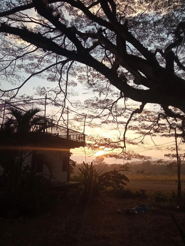 IMG_20230111_072024.jpg?type=w1600