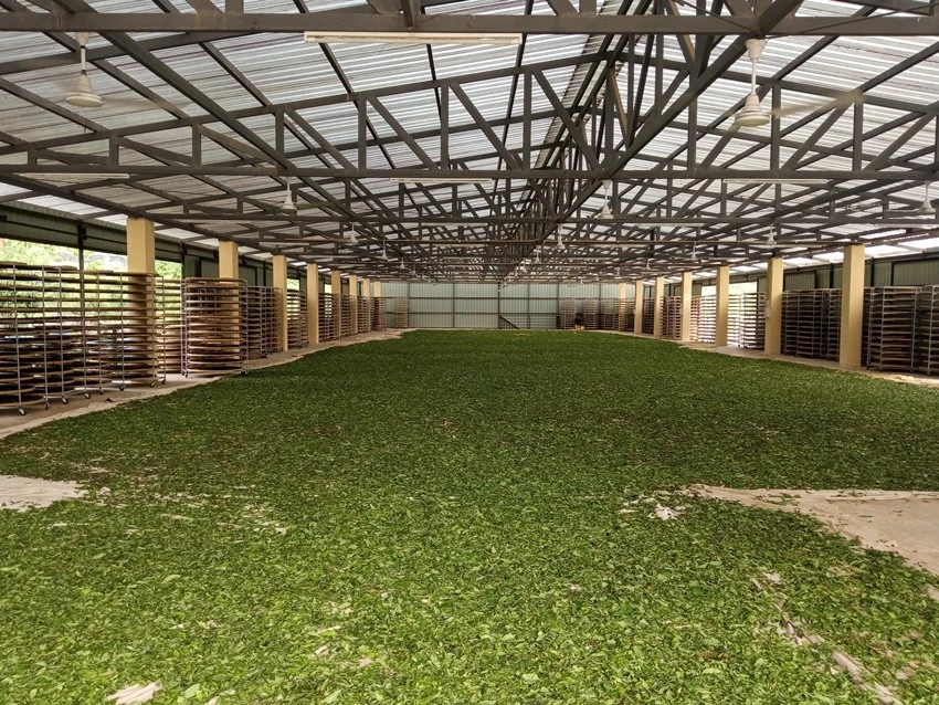 IMG_20220511_151158.jpg?type=w1600