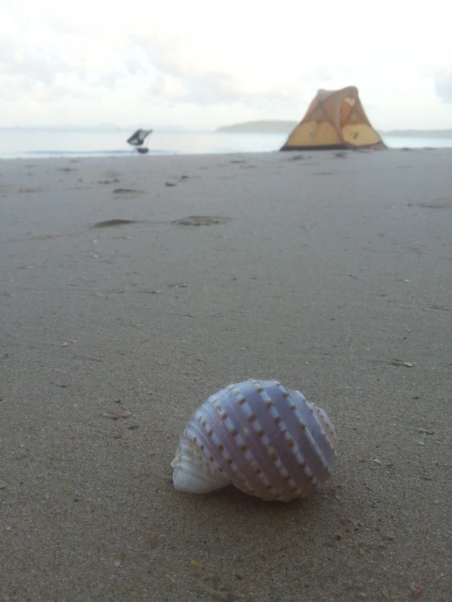 20200818_064207.jpg?type=w773