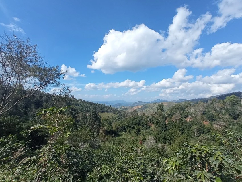 IMG_20221223_133607.jpg?type=w1600