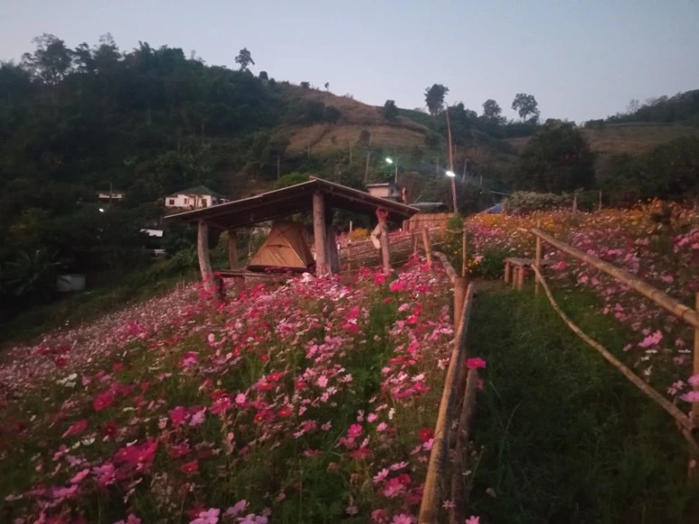 IMG_20221215_063113.jpg?type=w773