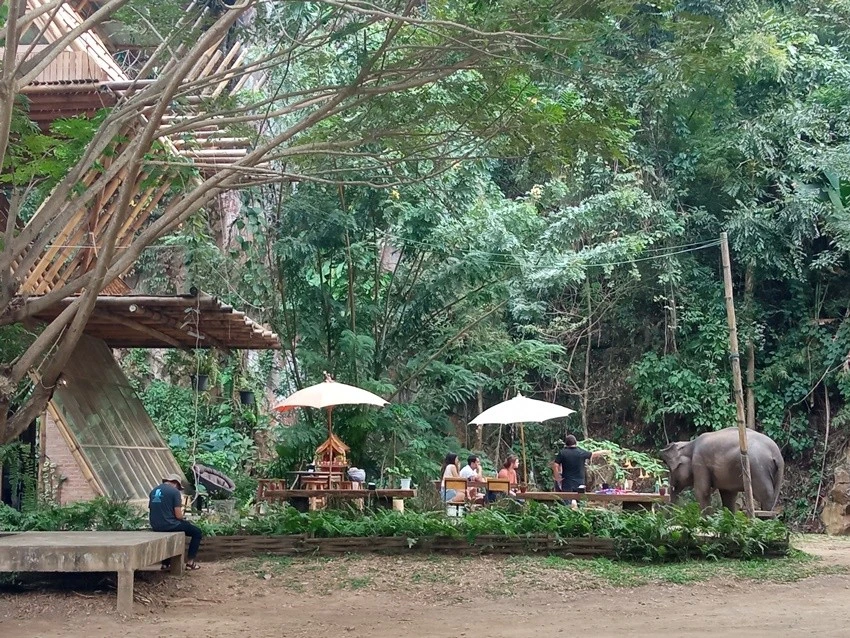 IMG_20221215_143257.jpg?type=w1600