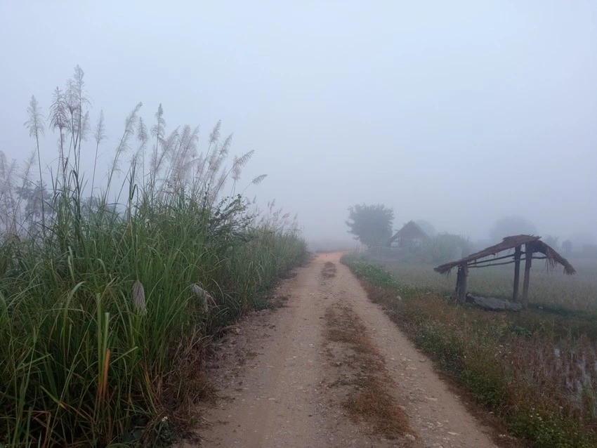 IMG_20221223_070548.jpg?type=w1600