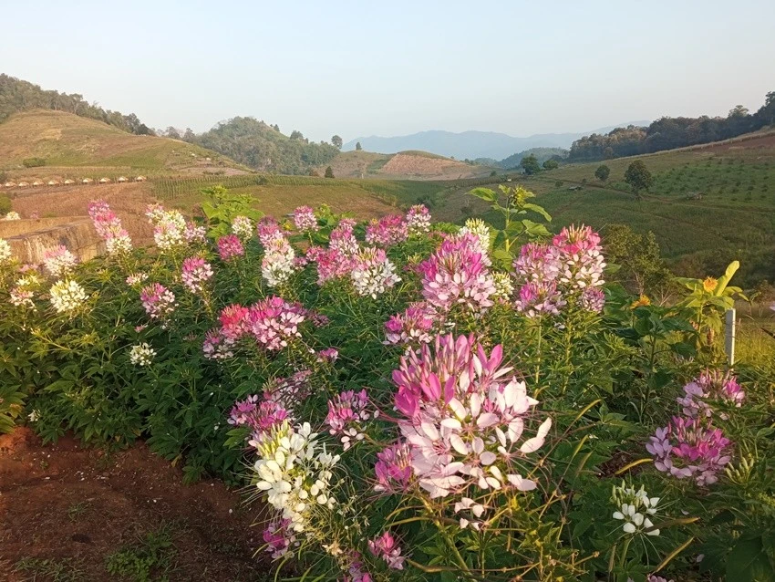 IMG_20221215_073849.jpg?type=w1600