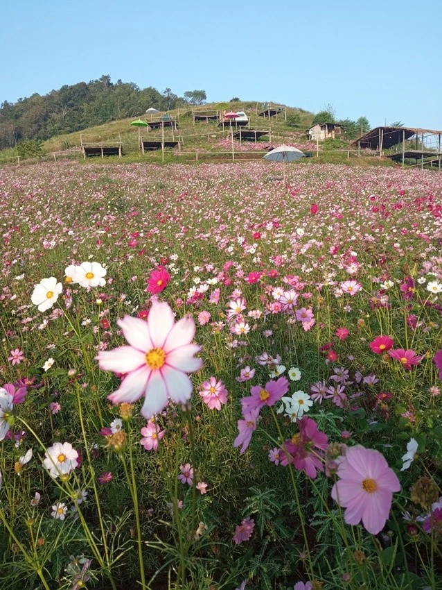 IMG_20221215_075628.jpg?type=w1600