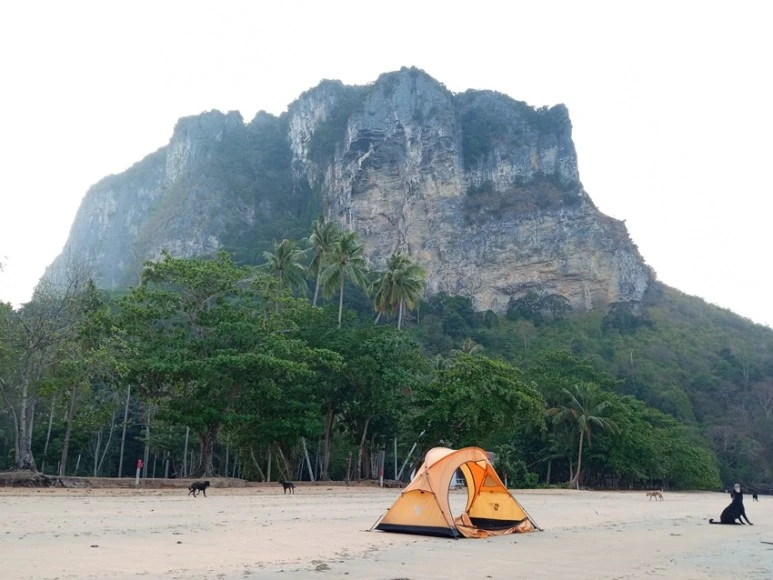 IMG_20210412_065145.jpg?type=w773