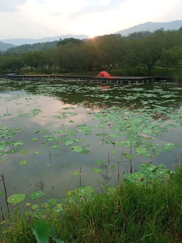 IMG_20230420_060852.jpg?type=w1