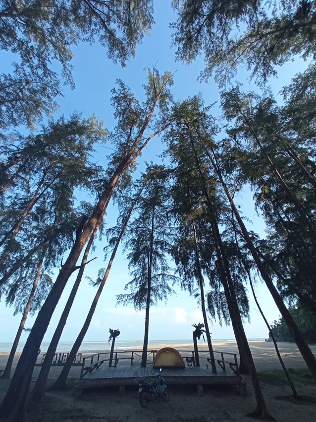 IMG_20201111_073841.jpg?type=w773